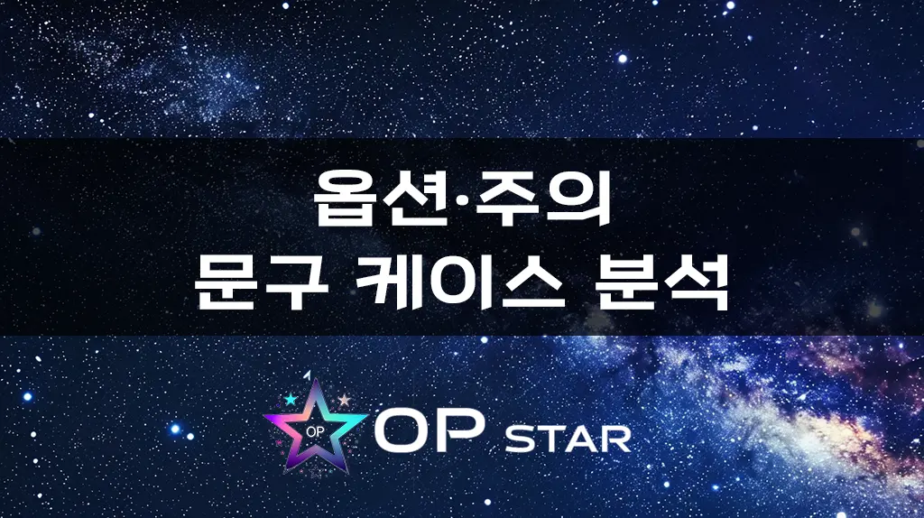 옵션·주의 문구 케이스 분석