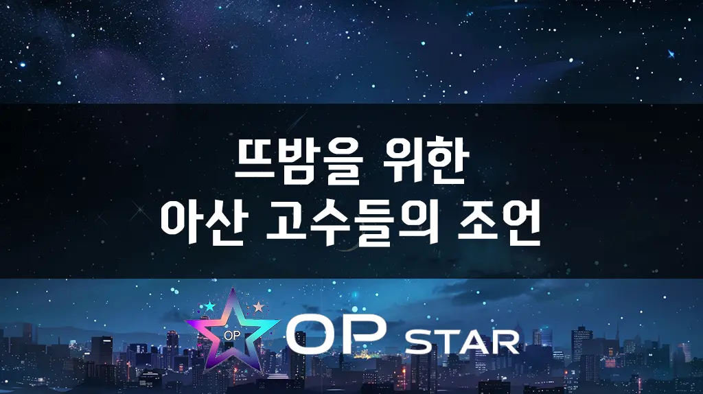 뜨밤을 위한 아산 고수들의 조언