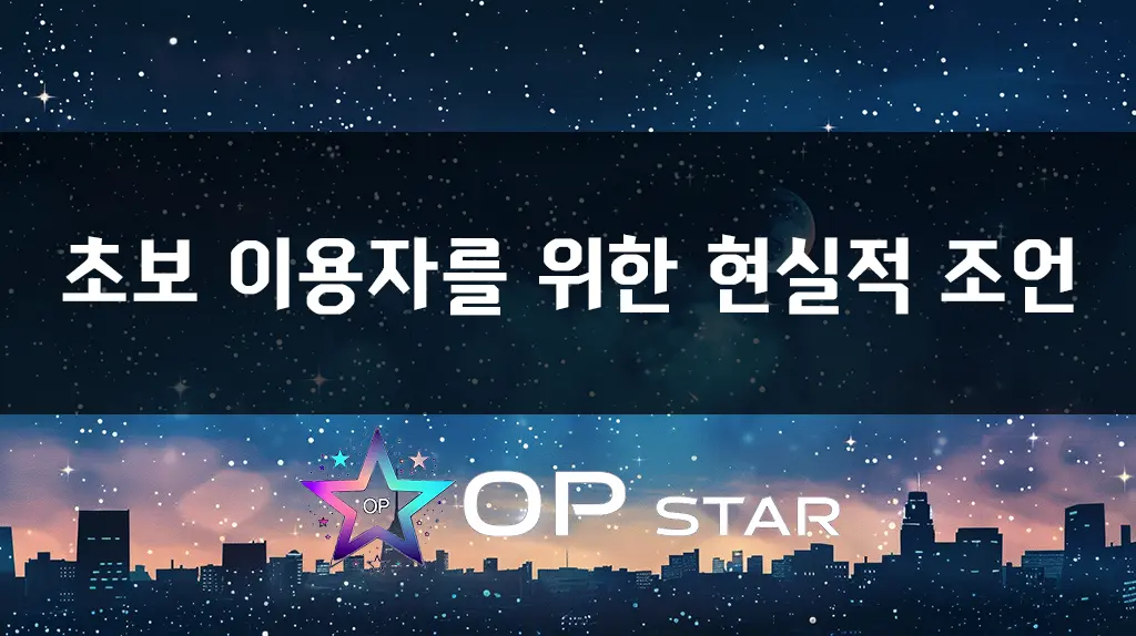 초보 이용자를 위한 현실적 조언